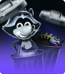 Raccoon